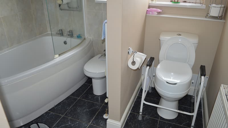 white toilet with raised seat dual support handles